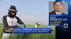 Ditunjuk Jadi Plt Mentan, Kepala Bapanas Langsung Ngegas
