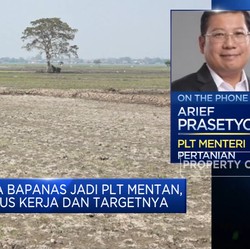 Jadi Plt Mentan, Ini Fokus Kepala Bapanas