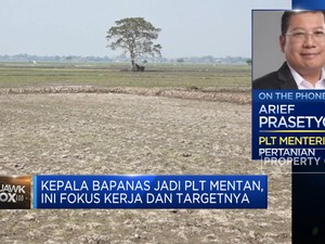 Jadi Plt Mentan, Ini Fokus Kepala Bapanas