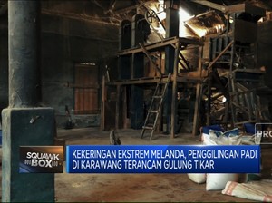 Penggilingan Padi di Karawang Terancam Bangkrut Karena Ini!
