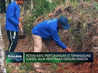 Petani Kayu Pertukangan Sukses 