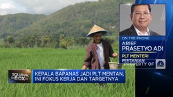Plt Mentan Ungkap Strategi Hadapi El Nino Berkepanjangan