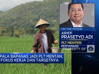 Plt Mentan Ungkap Strategi Hadapi El Nino Berkepanjangan