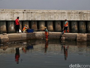 Seberapa Penting Proyek Giant Sea Wall Dibangun di Pesisir Jakarta?
