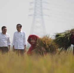 Jokowi: Ini Tahun Terberat Bagi Dunia!