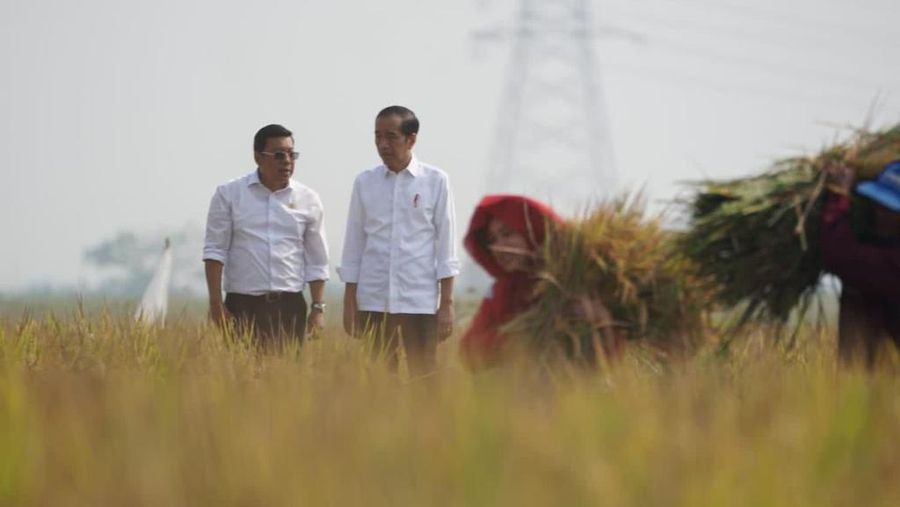 Presiden Joko Widodo didampingi Kepala Bapanas/Plt. Menteri Pertanian saat meninjau panen di padi di Subang, Minggu (8/10/2023). (Dok: Humas Bapanas)