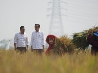 Gawat! 17.000 Ha Sawah Terendam, Panen April Diramal Turun Segini