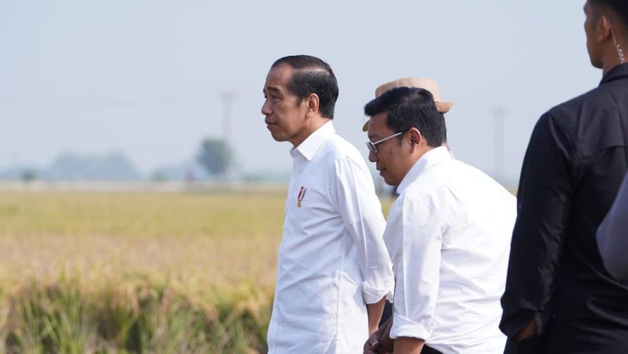 Presiden Joko Widodo didampingi Kepala Bapanas/Plt. Menteri Pertanian saat meninjau panen di padi di Subang, Minggu (8/10/2023). (Dok: Humas Bapanas)