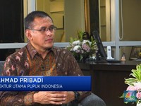 Ngeri Harga Gas Naik, Bos Pupuk Indonesia Ngaku Sampai Tak Bisa Tidur