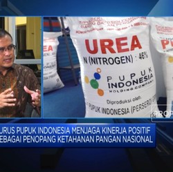 Pupuk Indonesia Dukung Ketahanan Pangan, Ini Strateginya