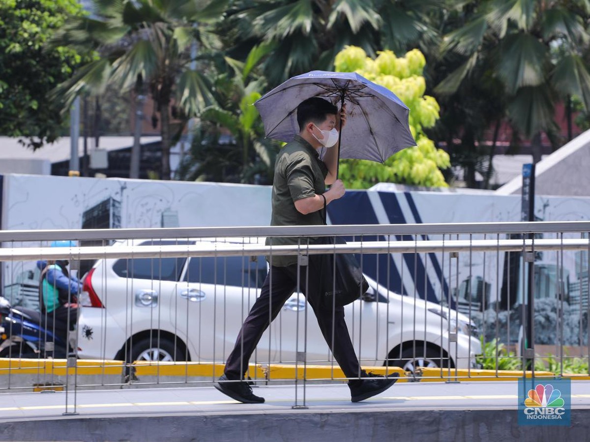 BMKG Prediksi Puncak Musim Kemarau Indonesia 2025 pada Bulan Agustus