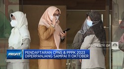 Pendaftaran CPNS & PPPK 2023 Diperpanjang Sampai 11 Oktober
