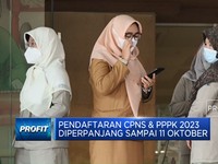 Pendaftaran CPNS & PPPK 2023 Diperpanjang Sampai 11 Oktober