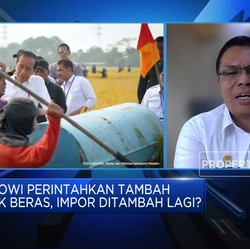 Jokowi Tambah Impor Beras 1,5 Juta Ton, Apa Urgensinya?
