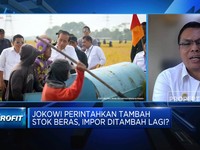 Jokowi Tambah Impor Beras 1,5 Juta Ton, Apa Urgensinya?