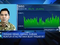 Perang Israel-Hamas, Durian Runtuh Atau Petaka Buat Pasar RI?