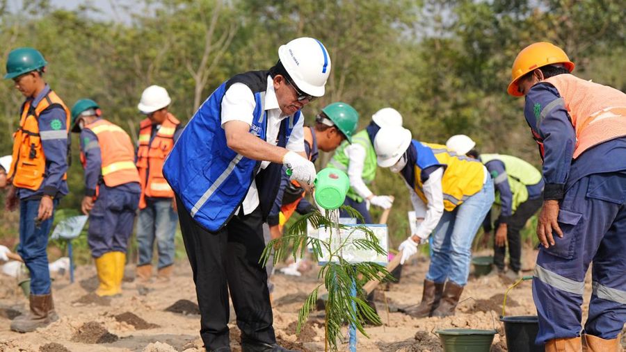 PT Bukit Asam Tbk (PTBA) melakukan budidaya kaliandra merah untuk dikembangkan sebagai biomassa. Kaliandra merah tersebut nantinya akan diolah menjadi wood pellet atau bahan bakar campuran batu bara (cofiring) di Pembangkit Listrik Tenaga Uap (PLTU).