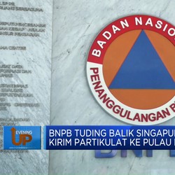 BNPB Tuding Balik Singapura Kirim Partikulat Ke Pulau RI
