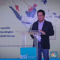 Mau Jadi Negara Maju, RI Harus Punya Banyak Entrepreneur