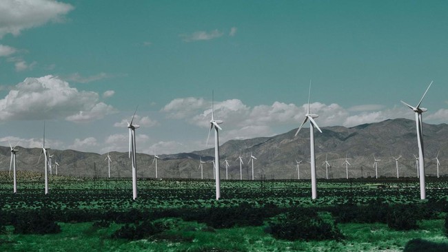 Bank Tak Siap Sediakan Rp794 T Buat RI Bebas Emisi, Ini Kendalanya