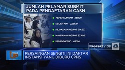 Ini Daftar Instansi Yang Diburu CPNS