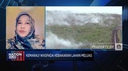 Kemarau! Waspada Kebakaran Lahan Meluas