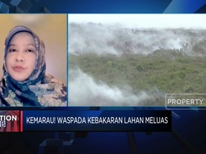 Kemarau! Waspada Kebakaran Lahan Meluas