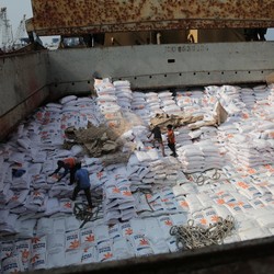Penampakan 24.000 Ton Beras Impor Asal Vietnam Masuk Jakarta
