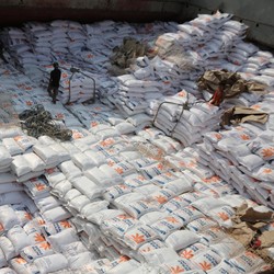 Impor Beras RI Terbang 2.299%, Terbanyak dari Negara Ini