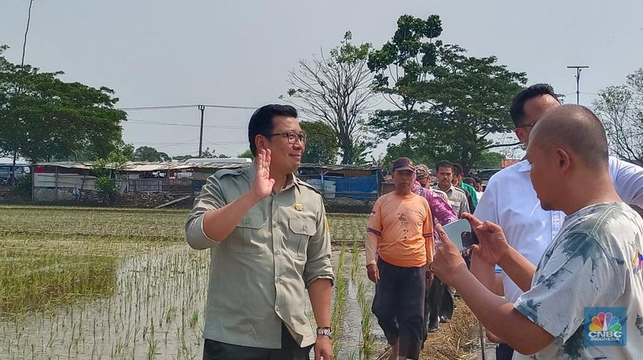 Plt Menteri Pertanian Arief Prasetyo Adi mengecek sawah yang mulai masuk musim tanam di Karawang, Jawa Barat/Dok: Martyasari Rizky