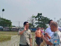 Plt Mentan Ingatkan Pejabat Kementan Jangan Lawan Petani