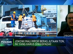 Video: Risiko Tinggi, Ahli Sebut RI Tak Perlu Impor Beras!