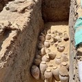 Arkeolog Kaget Temukan Wine Usia 5.000 Tahun di Makam Mesir
