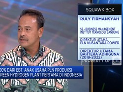 100% Dari EBT, PLN Resmikan Green Hydrogen Plant Pertama RI