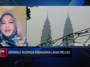 KLHK Sebut Tidak Ada Kabut Asap Lintas Batas