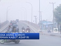 Video: Media Asing Soroti Kiriman Kabut Asap RI