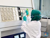 Avian (AVIA) Tebar Dividen Rp 1,36 T, Investor Bakal Dapat Segini