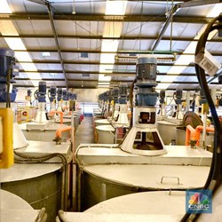 Laba Emiten Cat Crazy Rich Surabaya (AVIA) Tembus Rp 782,5 Miliar
