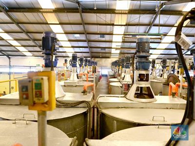 Emiten Cat Avian (AVIA) Bagi Dividen Rp600 Miliar, Cek Jadwalnya