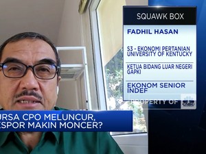 Pak Mendag, Ini Syarat Agar Bursa CPO RI Bisa Diakui Dunia!