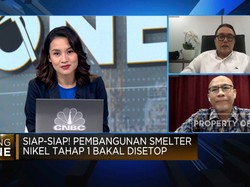 Ini Alasan Pemerintah Setop Pembangunan Smelter Nikel Kelas 2