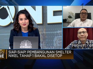 Ini Alasan Pemerintah Setop Pembangunan Smelter Nikel Kelas 2