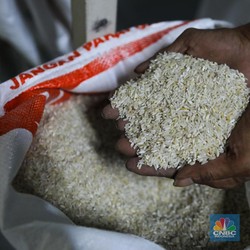 Kemendag: Harga Beras Sudah Tak Ada Gejolak, Tapi Masih Tinggi