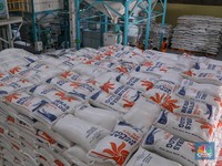 Bulog Serap Beras Petani RI Terendah 5 Tahun, Kok Bisa?