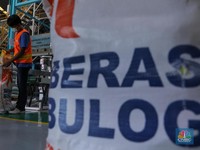 Stok Bulog Dikuasai Beras Impor, Kenapa Gak Beli dari Petani?