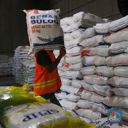 Utang Pemerintah ke Bulog Numpuk Sampai Rp16 T, Ini Alasannya