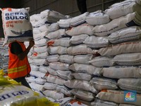 Utang Pemerintah ke Bulog Numpuk Sampai Rp16 T, Ini Alasannya