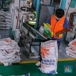 Bulog Kantongi Kontrak Impor Beras 1 Juta Ton dari 4 Negara
