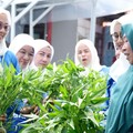 Program BRInita Mudahkan Warga Menanam di Lahan Sempit