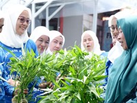 Program BRInita Mudahkan Warga Menanam di Lahan Sempit